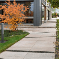 Kostka Bruk-Bet Planta® gr. 6 color-mix Renox