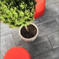 Certus płyta DESIGN 30 gr. 8 szary colormix
