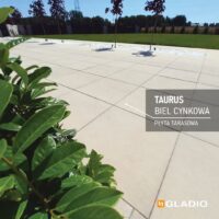 Gladio płyta TAURUS 80x80 gr. 4,5  kolor