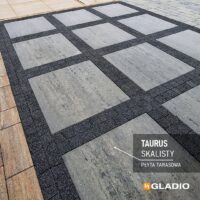 Gladio płyta TAURUS 80x80 gr. 4,5 melanż (vivid)