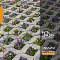 Gladio PŁYTA AŻUROWA 40x60 gr. 8 kolor